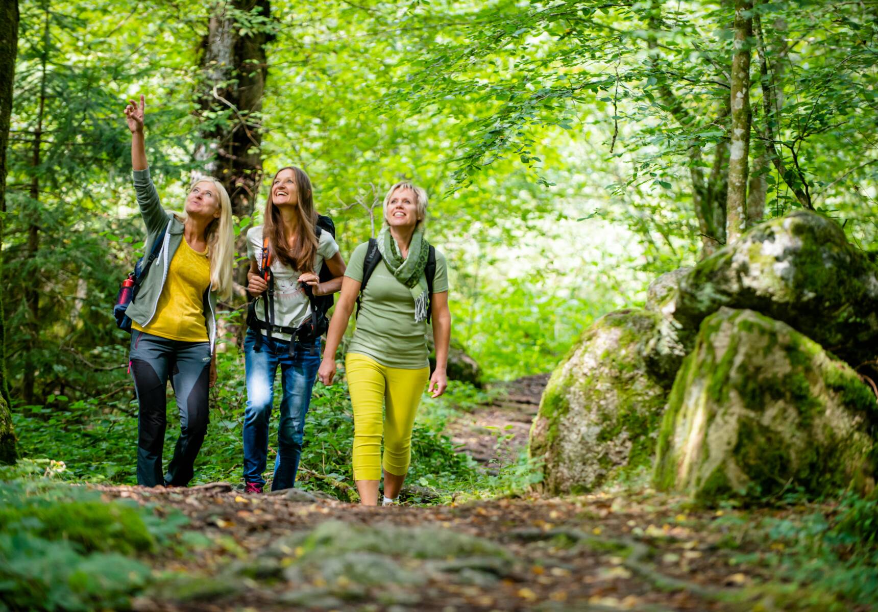 Drei Frauen gehen durch den Wald spazieren und erkunden die Umgebung