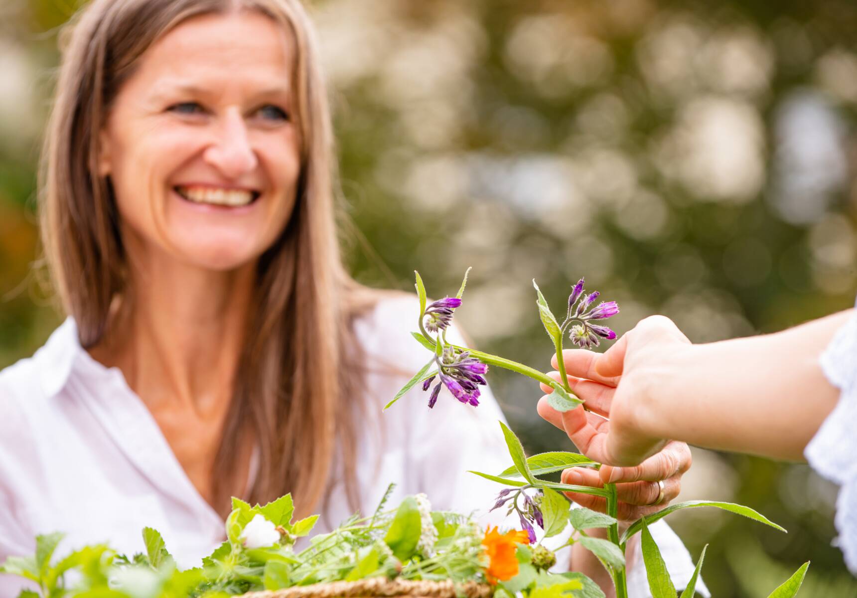 Frauen im Kräutergarten