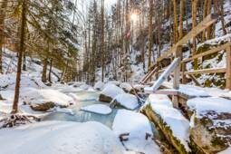 Wolfsschlucht im Winter in Bad Kreuzen